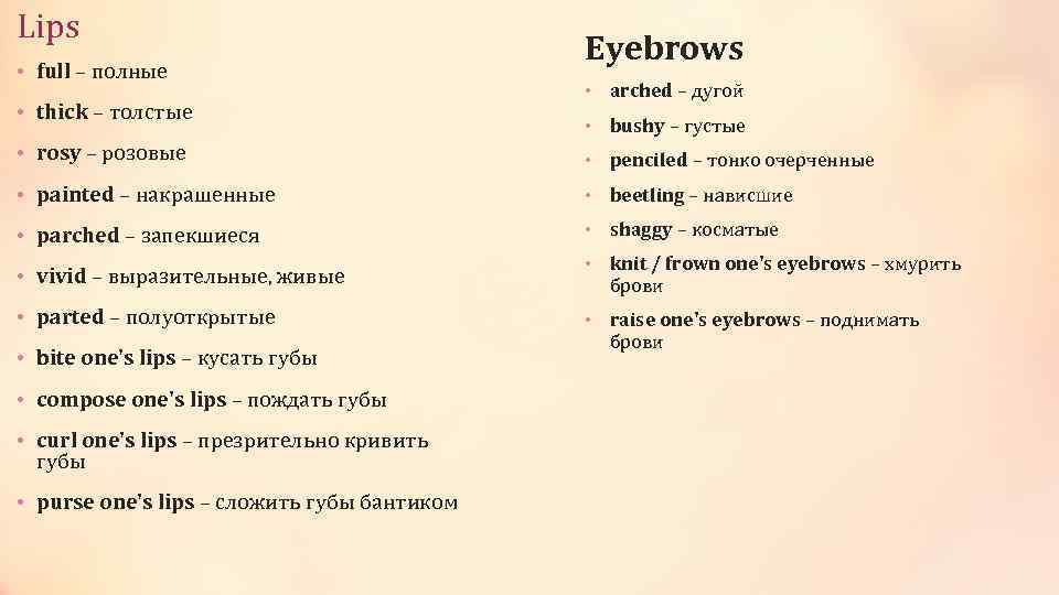 Lips • full – полные • thick – толстые Eyebrows • arched – дугой