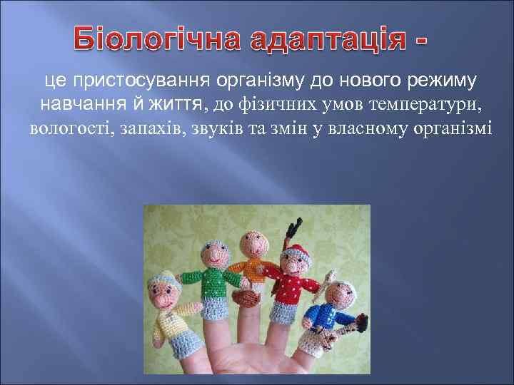 це пристосування організму до нового режиму навчання й життя, до фізичних умов температури, вологості,