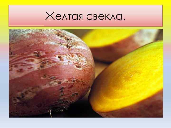 Желтая свекла. 