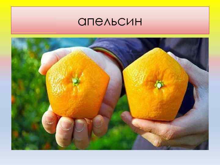 апельсин 