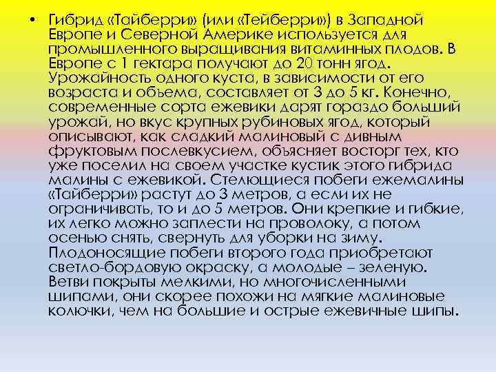  • Гибрид «Тайберри» (или «Тейберри» ) в Западной Европе и Северной Америке используется