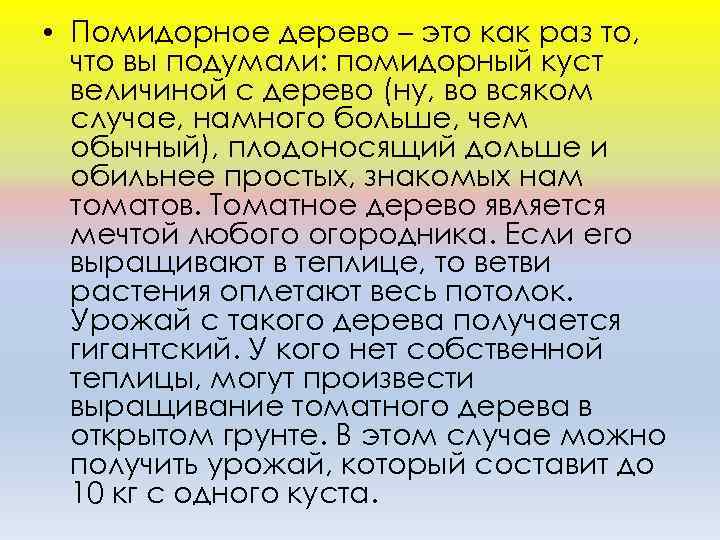  • Помидорное дерево – это как раз то, что вы подумали: помидорный куст