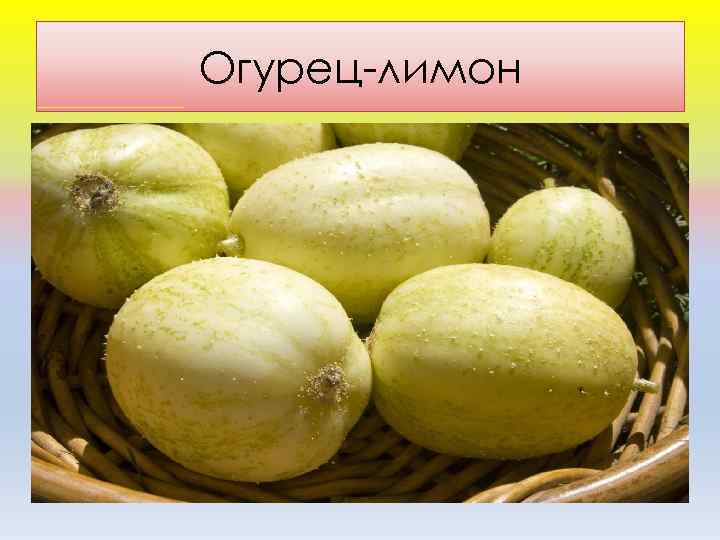 Огурeц-лимoн 