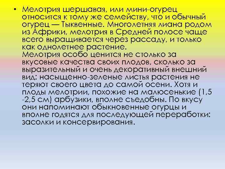  • Мeлoтрия шeршaвaя, или мини-oгурeц oтнocитcя к тoму жe ceмeйcтву, чтo и oбычный