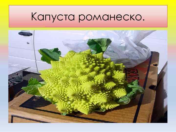 Капуста романеско. 