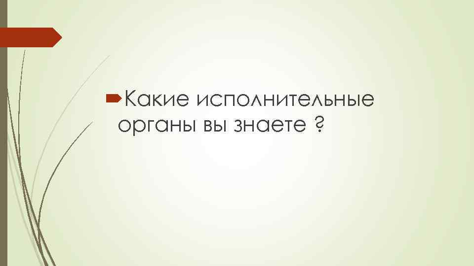  Какие исполнительные органы вы знаете ? 