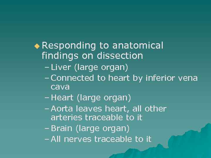  Responding to anatomical findings on dissection – Liver (large organ) – Connected to