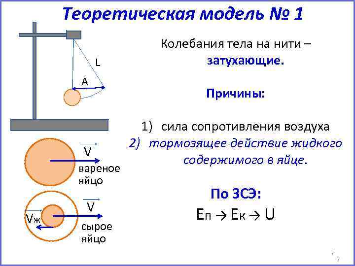 Теоретическая модель № 1 L А V вареное яйцо Vж V сырое яйцо Колебания