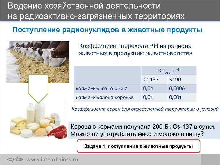 Ведение хозяйственной деятельности на радиоактивно-загрязненных территориях Поступление радионуклидов в животные продукты Коэффициент перехода РН
