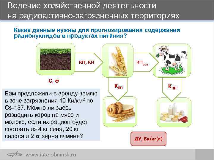 Ведение хозяйственной деятельности на радиоактивно-загрязненных территориях Какие данные нужны для прогнозирования содержания радионуклидов в