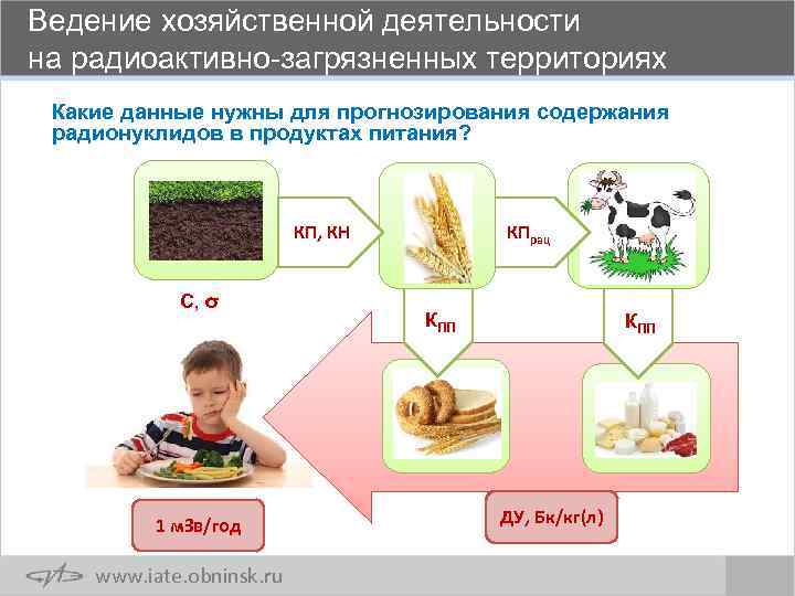 Ведение хозяйственной деятельности на радиоактивно-загрязненных территориях Какие данные нужны для прогнозирования содержания радионуклидов в