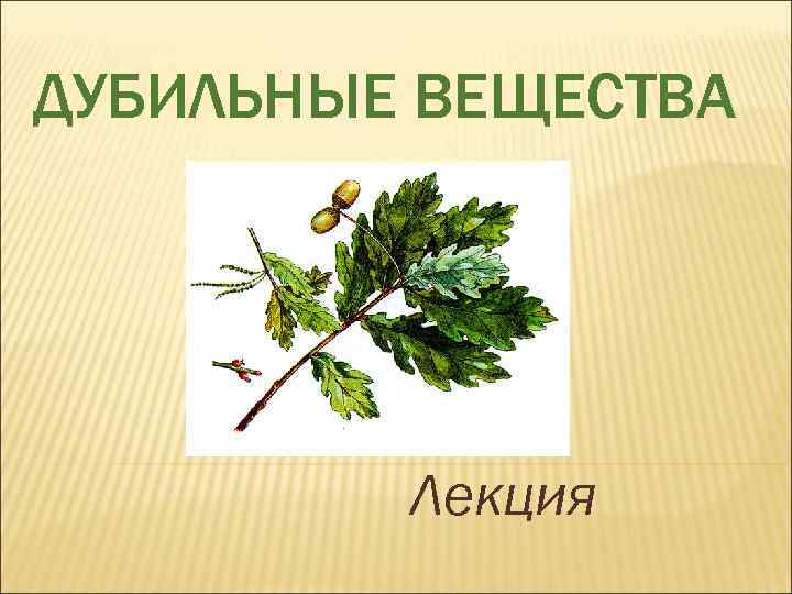ДУБИЛЬНЫЕ ВЕЩЕСТВА Лекция 