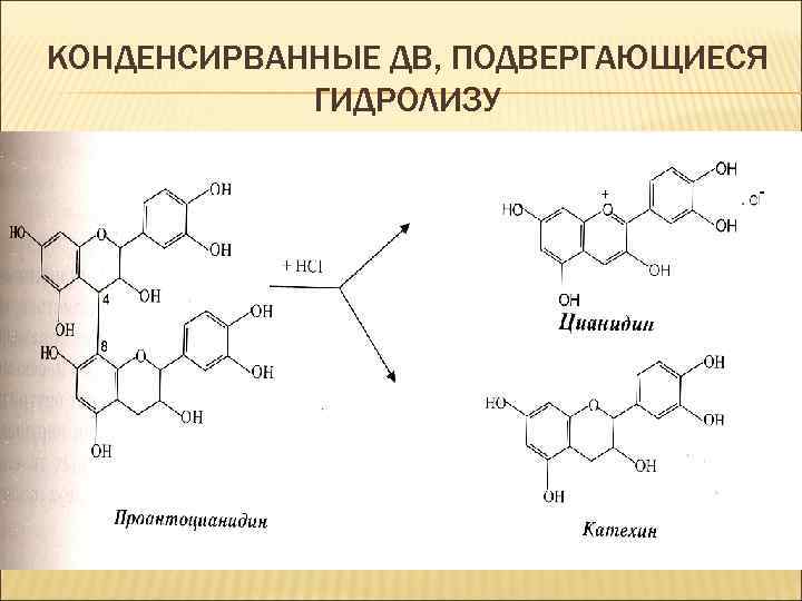 КОНДЕНСИРВАННЫЕ ДВ, ПОДВЕРГАЮЩИЕСЯ ГИДРОЛИЗУ 