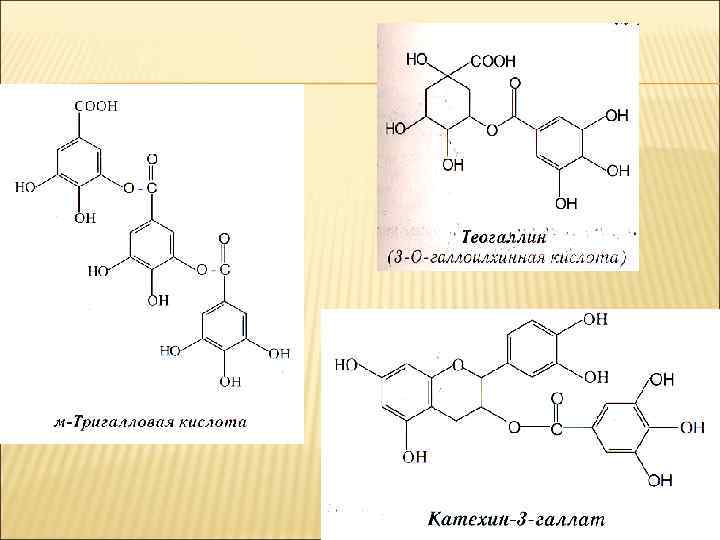 Дубильные вещества презентация