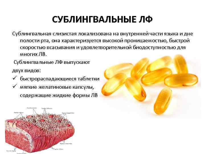 СУБЛИНГВАЛЬНЫЕ ЛФ Сублингвальная слизистая локализована на внутренней части языка и дне полости рта, она