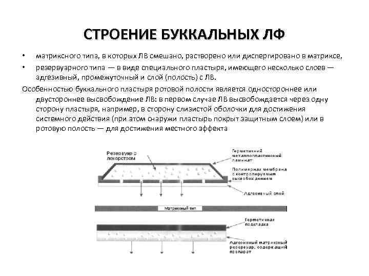 СТРОЕНИЕ БУККАЛЬНЫХ ЛФ матриксного типа, в которых ЛВ смешано, растворено или диспергировано в матриксе,