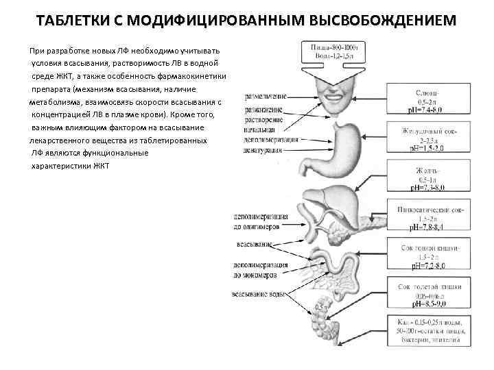ТАБЛЕТКИ С МОДИФИЦИРОВАННЫМ ВЫСВОБОЖДЕНИЕМ При разработке новых ЛФ необходимо учитывать условия всасывания, растворимость ЛВ