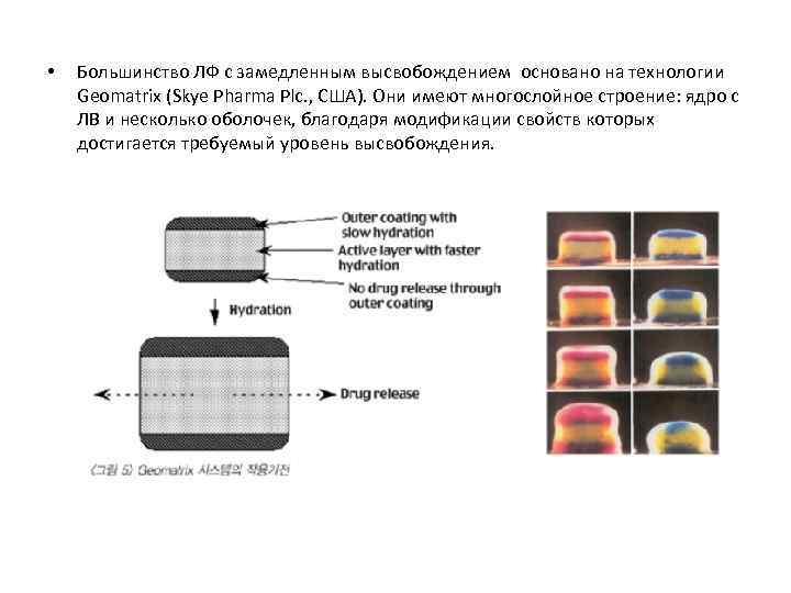  • Большинство ЛФ с замедленным высвобождением основано на технологии Geomatrix (Skye Pharma Plc.