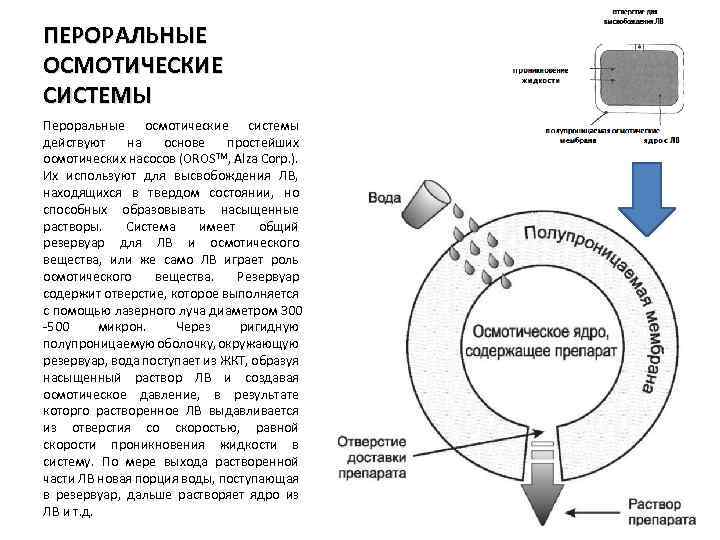 ПЕРОРАЛЬНЫЕ ОСМОТИЧЕСКИЕ СИСТЕМЫ Пероральные осмотические системы действуют на основе простейших осмотических насосов (OROSTM, Alza