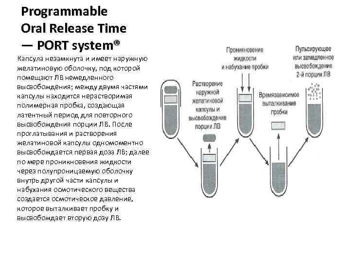 Programmable Oral Release Time — PORT system® Капсула незамкнута и имеет наружную желатиновую оболочку,