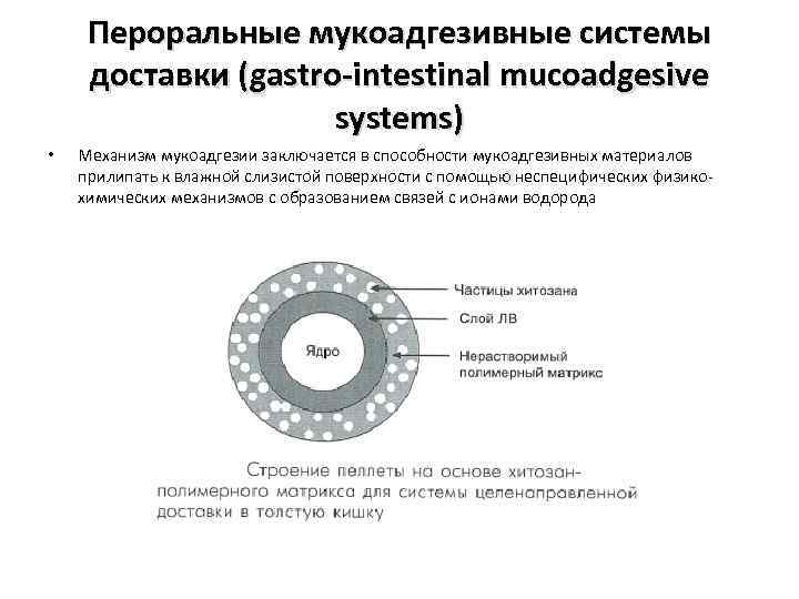 Пероральные мукоадгезивные системы доставки (gastro-intestinal mucoadgesive systems) • Механизм мукоадгезии заключается в способности мукоадгезивных