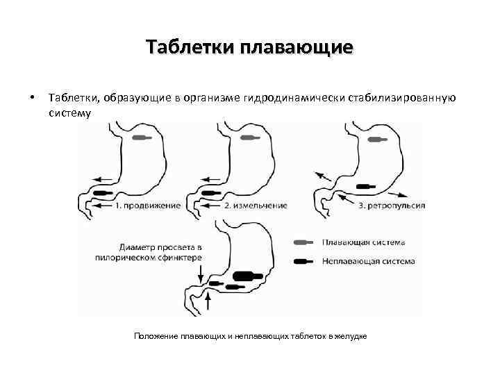 Таблетки плавающие • Таблетки, образующие в организме гидродинамически стабилизированную систему Положение плавающих и неплавающих