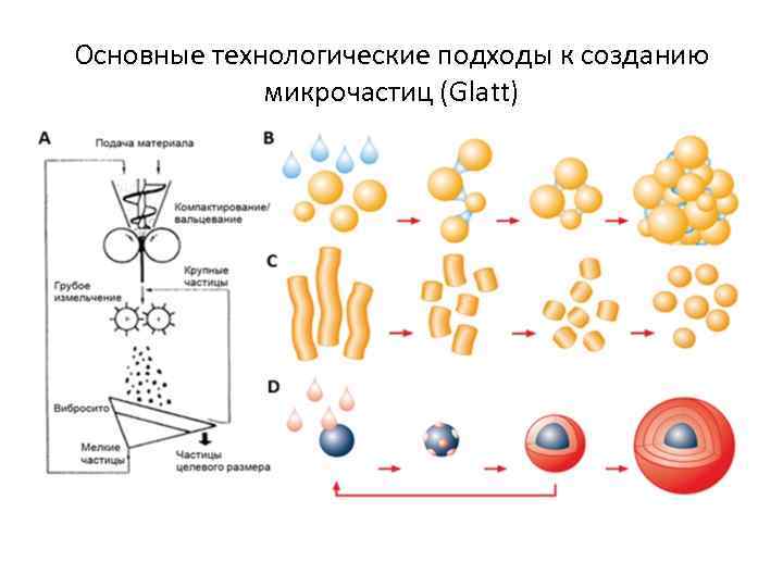 Основные технологические подходы к созданию микрочастиц (Glatt) 