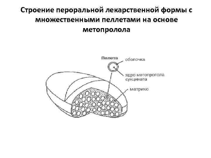 Строение пероральной лекарственной формы с множественными пеллетами на основе метопролола 