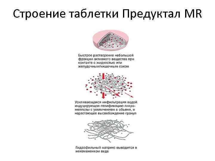 Строение таблетки Предуктал MR 