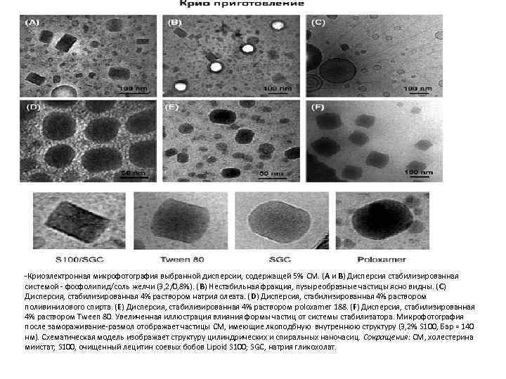 -Криоэлектронная микрофотография выбранной дисперсии, содержащей 5% CM. (A и B) Дисперсия стабилизированная системой фосфолипид/соль