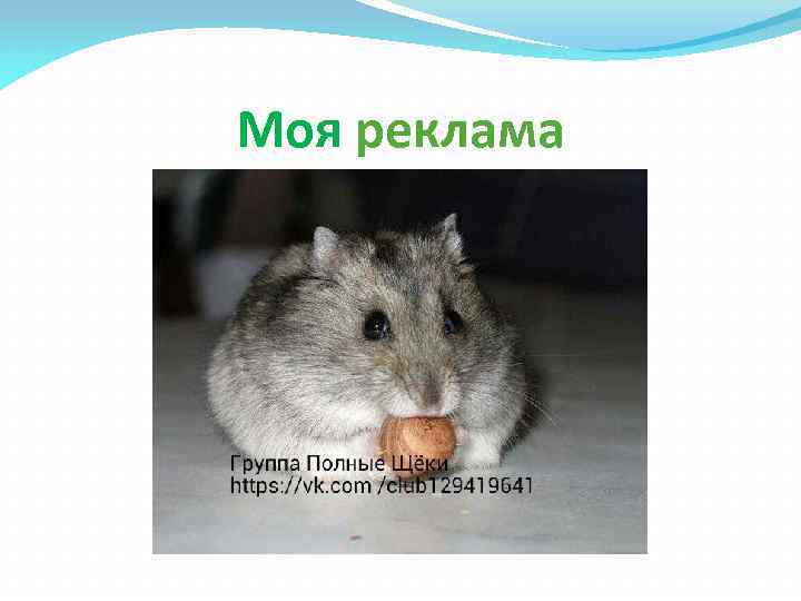 Моя реклама 