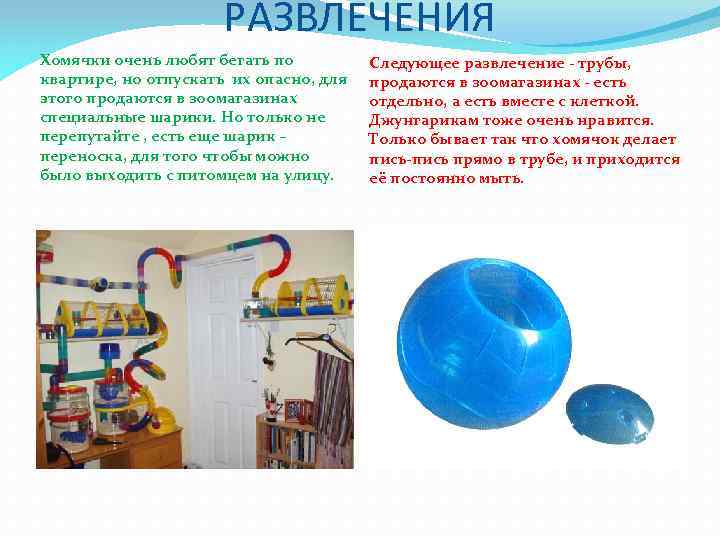 РАЗВЛЕЧЕНИЯ Хомячки очень любят бегать по квартире, но отпускать их опасно, для этого продаются