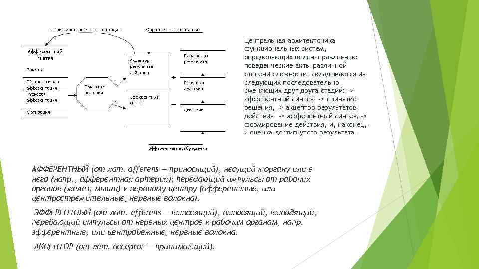 Операционная схема фс механизм целенаправленного поведения