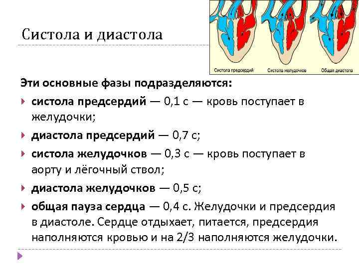 Период сердечного сокращения. Фаза сердечного цикла систола желудочков. Сердечный цикл.фазы систолы диастолы желудочков. Систола предсердий систола желудочков и диастола. Продолжительность диастолы предсердий составляет.