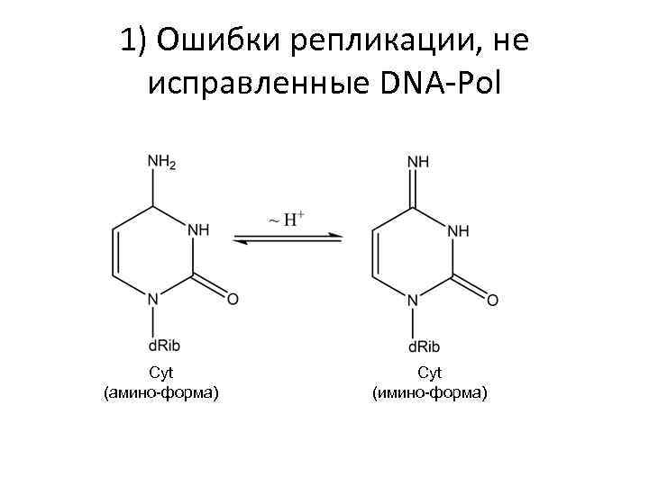 1) Ошибки репликации, не исправленные DNA-Pol Cyt (амино-форма) Cyt (имино-форма) 