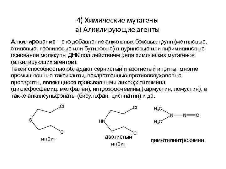 4) Химические мутагены а) Алкилирующие агенты Алкилирование – это добавление алкильных боковых групп (метиловые,