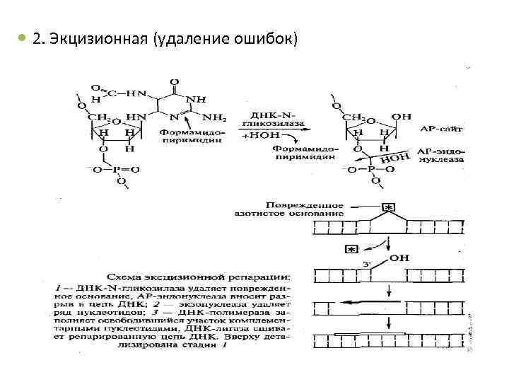  2. Экцизионная (удаление ошибок) 