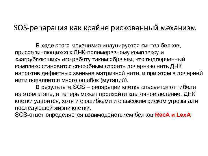SOS-репарация как крайне рискованный механизм В ходе этого механизма индуцируется синтез белков, присоединяющихся к