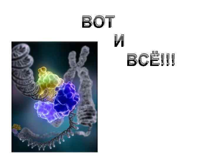 ВОТ И ВСЁ!!! 