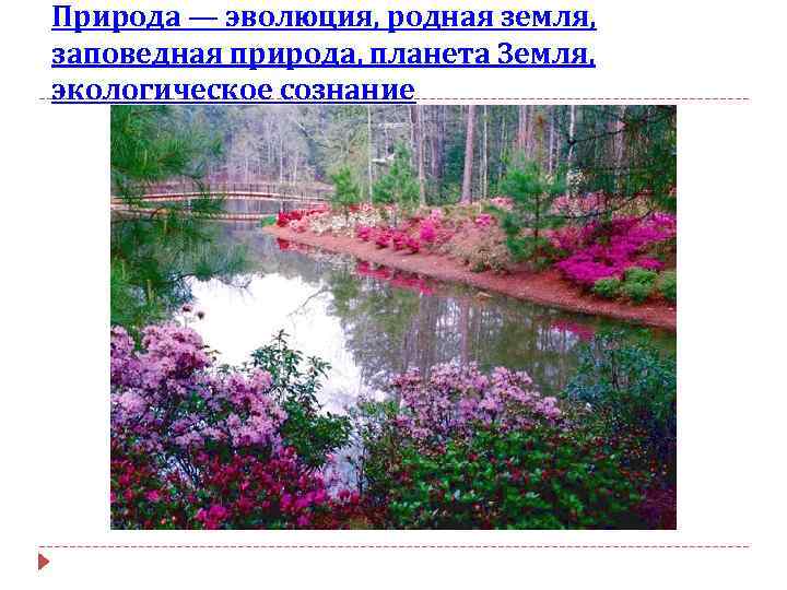 Природа — эволюция, родная земля, заповедная природа, планета Земля, экологическое сознание 