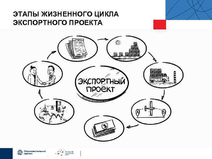 Жизненный цикл экспортного проекта