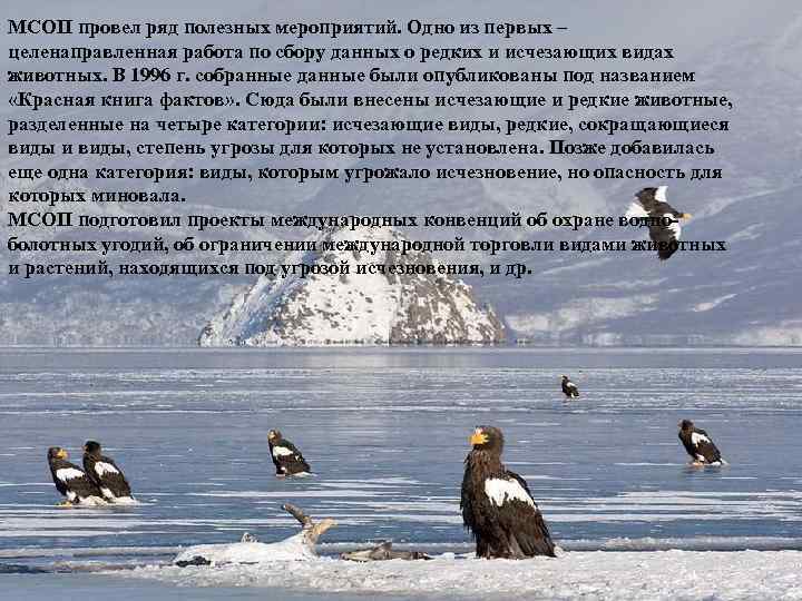 МСОП провел ряд полезных мероприятий. Одно из первых – целенаправленная работа по сбору данных