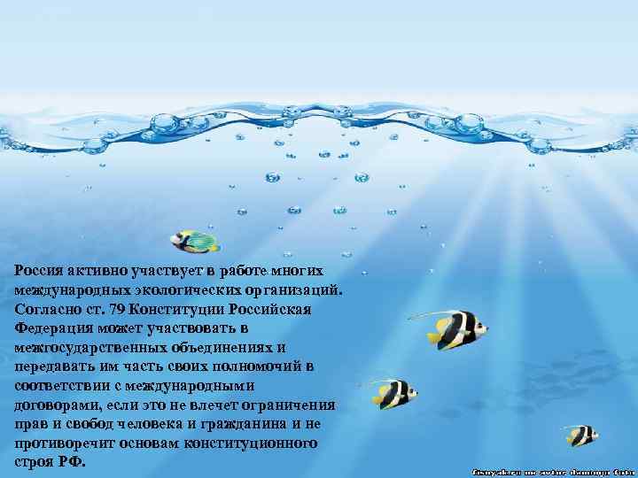  Россия активно участвует в работе многих международных экологических организаций. Согласно ст. 79 Конституции