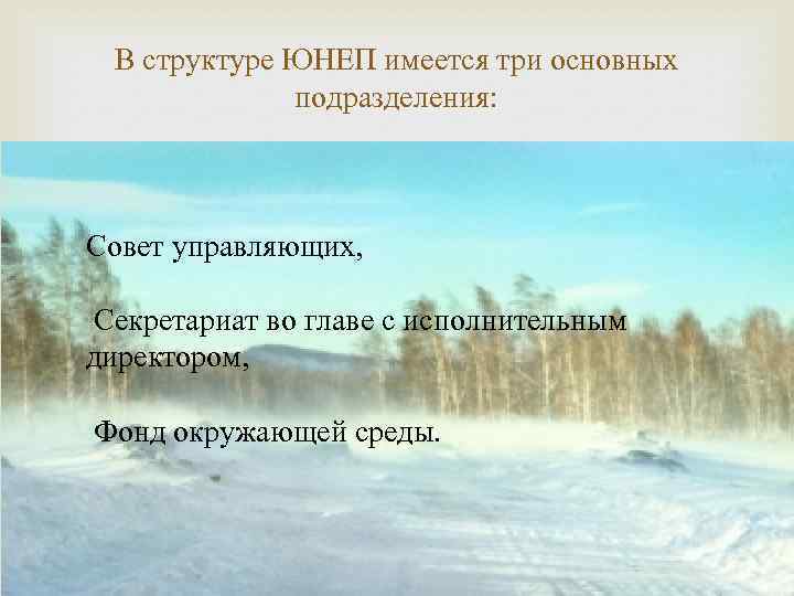 В структуре ЮНЕП имеется три основных подразделения: Совет управляющих, Секретариат во главе с исполнительным