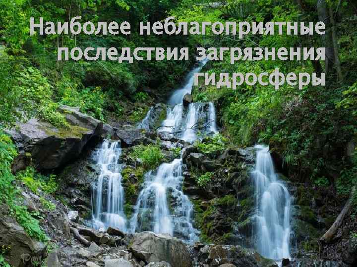 Наиболее неблагоприятные последствия загрязнения гидросферы 