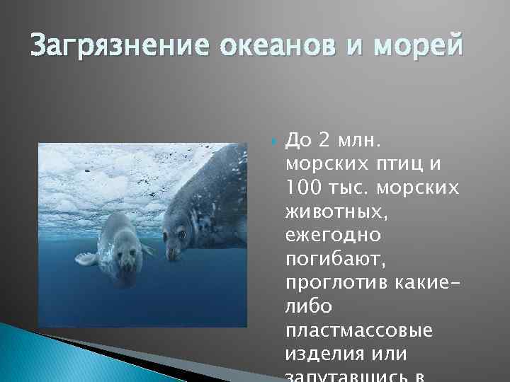 Загрязнение океанов и морей До 2 млн. морских птиц и 100 тыс. морских животных,