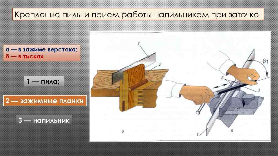 Крепление пилы и прием работы напильником при заточке а — в зажиме верстака; б