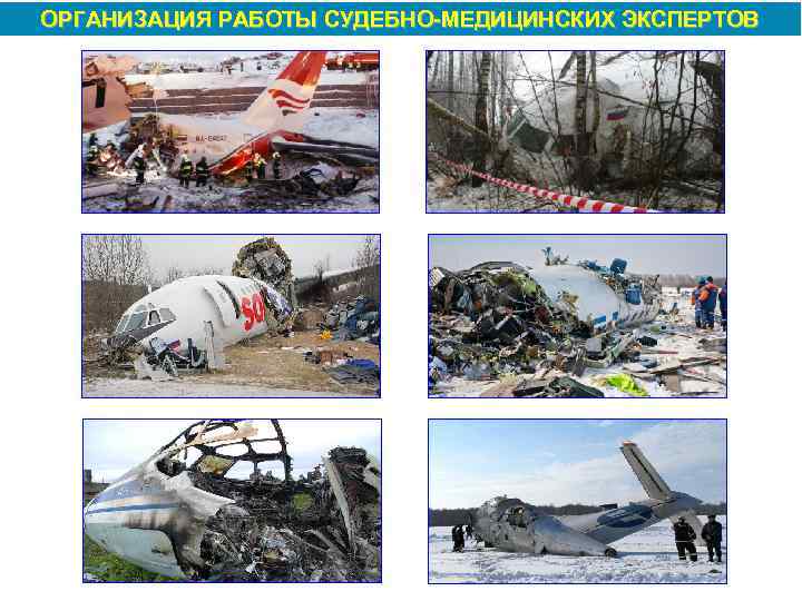 ОРГАНИЗАЦИЯ РАБОТЫ СУДЕБНО МЕДИЦИНСКИХ ЭКСПЕРТОВ 