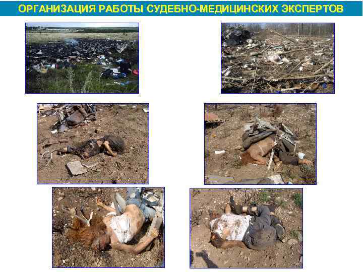 ОРГАНИЗАЦИЯ РАБОТЫ СУДЕБНО МЕДИЦИНСКИХ ЭКСПЕРТОВ 