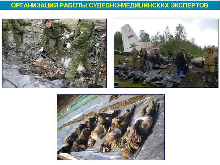 ОРГАНИЗАЦИЯ РАБОТЫ СУДЕБНО МЕДИЦИНСКИХ ЭКСПЕРТОВ 